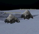 Nightmare Sheep
