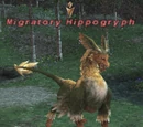 Migratory Hippogryph