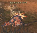 Canyon Eft