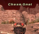 Chasm Gnat