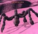 Awahondo