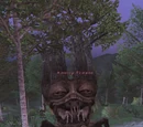 Knotty Treant