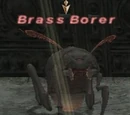 Brass Borer