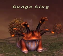 Gunge Slug