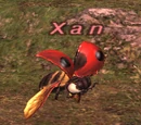 Xan