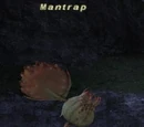 Mantrap