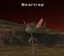 Boartrap
