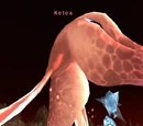 Ketea