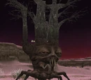 Barrens Treant