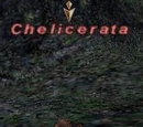 Chelicerata