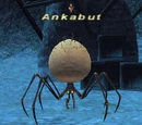 Ankabut