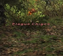 Plague Chigoe