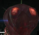 Lorbulcrud