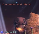 Cannered Noz