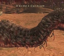 Vermes Carnium