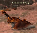 Treacle Slug
