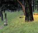 West Ronfaure