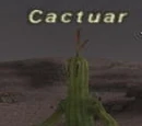 Cactuar
