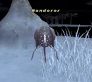 Wanderer