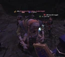 Zareehkl the Jubilant