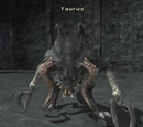 Taurus