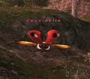 Coccinelle
