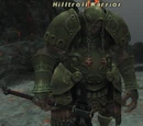 Hilltroll Warrior