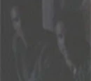 The Twins (Others)