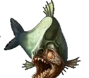 Piranha