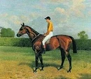 Great Race Horses Collection