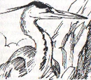 Rulango