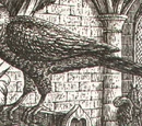 Tergen