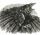 Krakulat