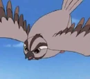 Bigwing