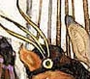 Wild Doogy Plumm