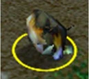 Cerdo