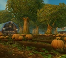 Plantación de Calabazas de Brackwell