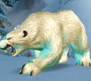 Bjarn
