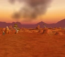 Durotar