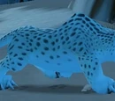 Leopardo de la nieve juvenil