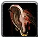 Inv misc ear human 02.png