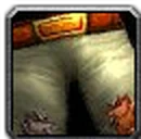 Inv pants cloth 03.png