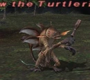Meww the Turtlerider