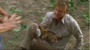 Chicken.jpg
