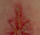 Juliet's mark