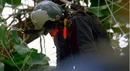 3x17parachutisthangs.jpg