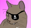 IRC users