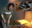 Foley artist