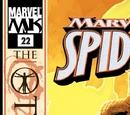 Marvel Knights: Spider-Man Vol 1 22