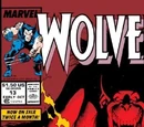 Wolverine Vol 2 13